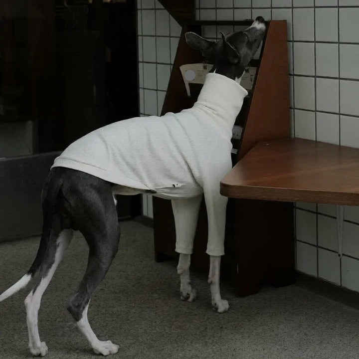 Highneck Slim Fit Base Sweater for Italian Greyhound and Whippet