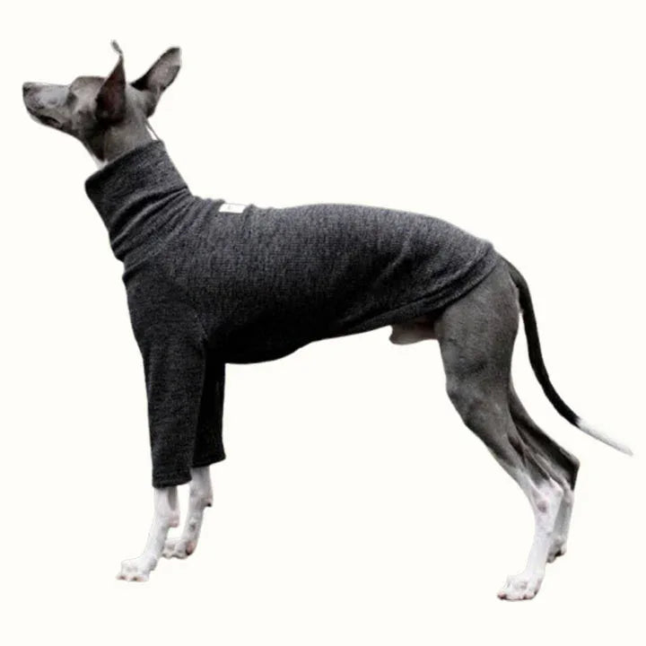 Highneck Slim Fit Base Sweater for Italian Greyhound and Whippet