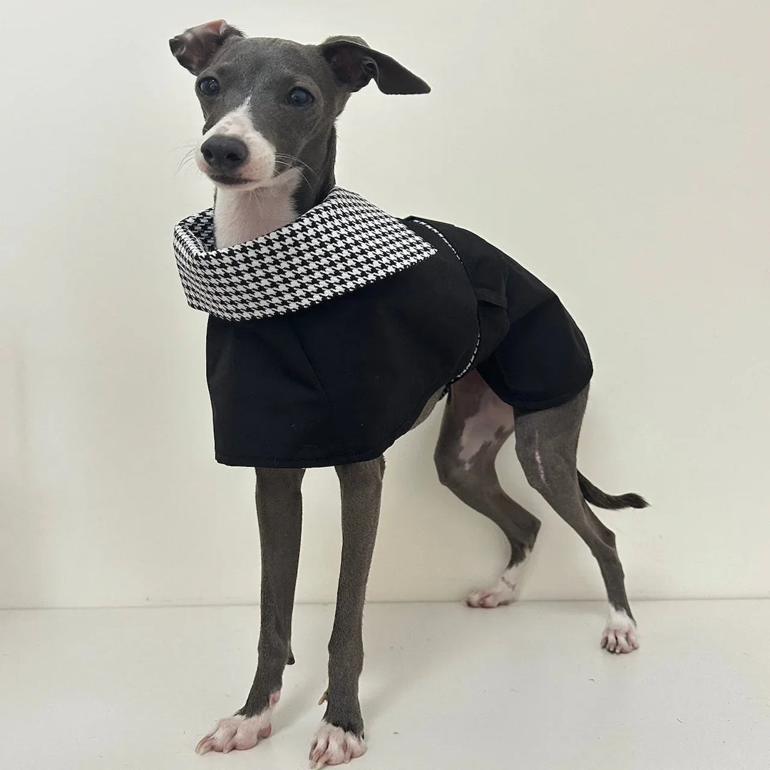 Houndstooth Collar Italian Greyhound Coat Whippet Windbreaker CityBear