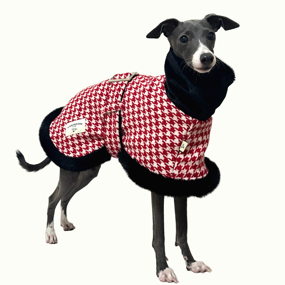 Pelaje de pata de gallo para perros