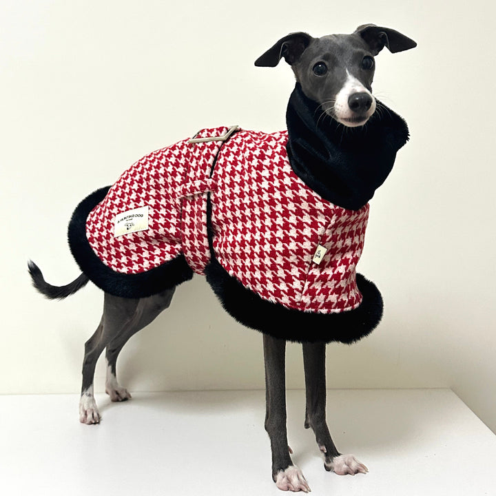 Houndstooth Dog Coat