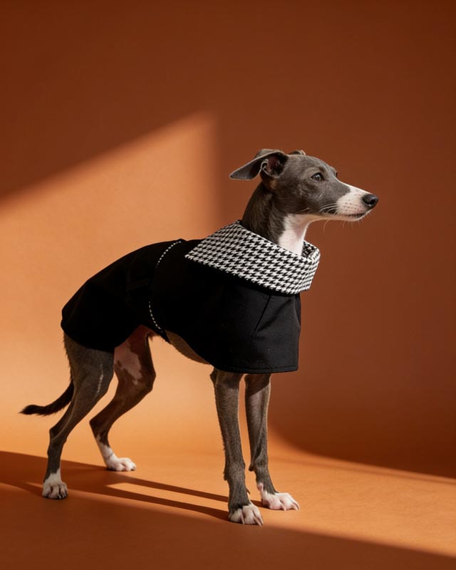 Houndstooth Collar Italian Greyhound Coat Whippet Windbreaker CityBear