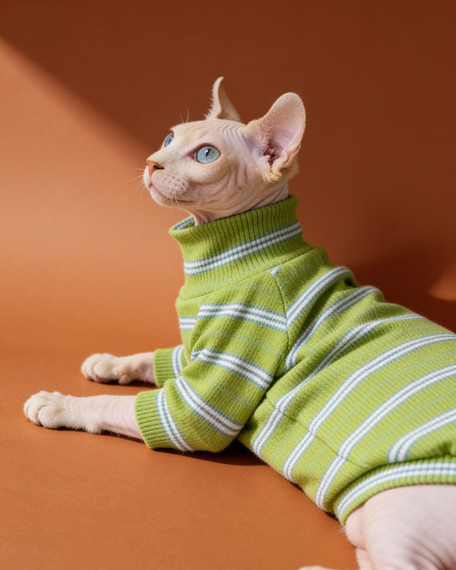 Hypoallergenic Cotton Highneck Stripes Sphynx Sweater CityBear