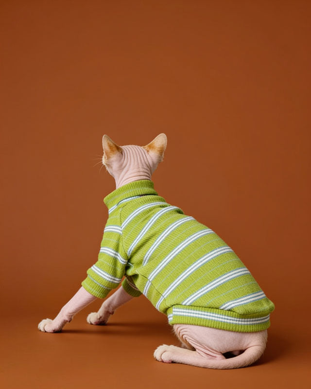Hypoallergenic Cotton Highneck Stripes Sphynx Sweater CityBear