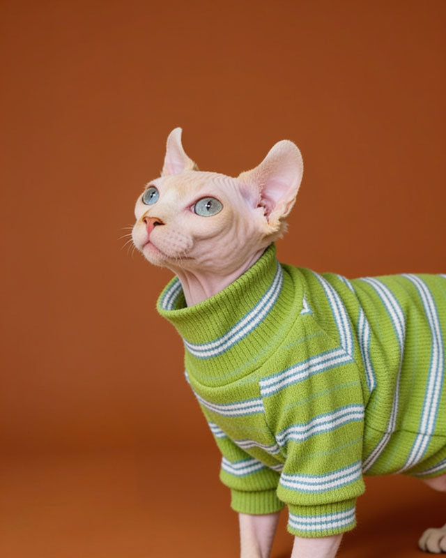 Hypoallergenic Cotton Highneck Stripes Sphynx Sweater CityBear