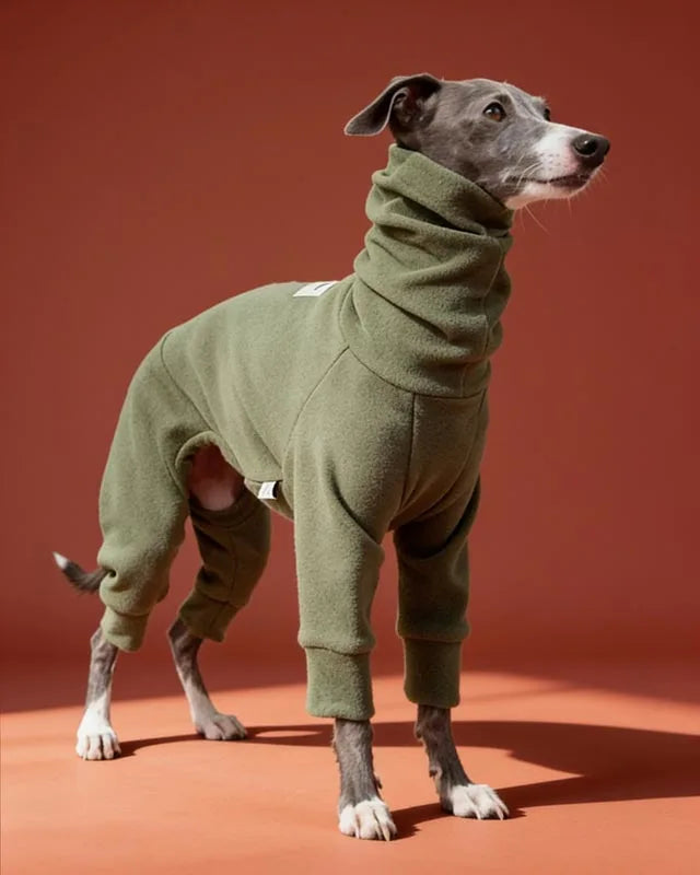 hypoallergenic-semi-elastic-four-legged-dog-onesie-for-italian-greyhound-and-whippet-bedlington-sighthounds-owner-gifts - CityBear