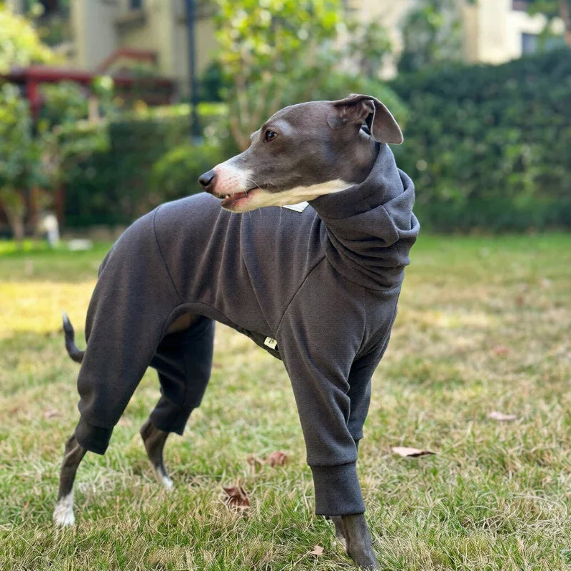 Semi Elastic Soft Warm Full-Body Onesie for Sighthounds