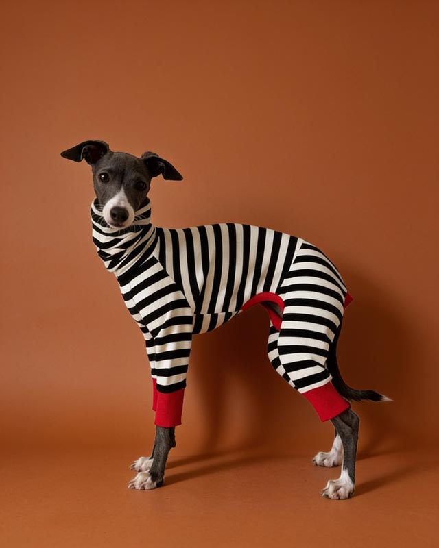 indoor-highneck-four-legged-dog-clothes-for-italian-greyhounds-whippets-bedlington-sighthounds-pet-gifts - CityBear