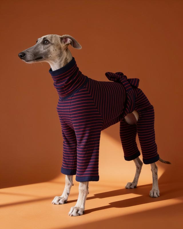 Striped Protective Belly and Chest Onesies for Italian Greyhound and Whippet CityBear