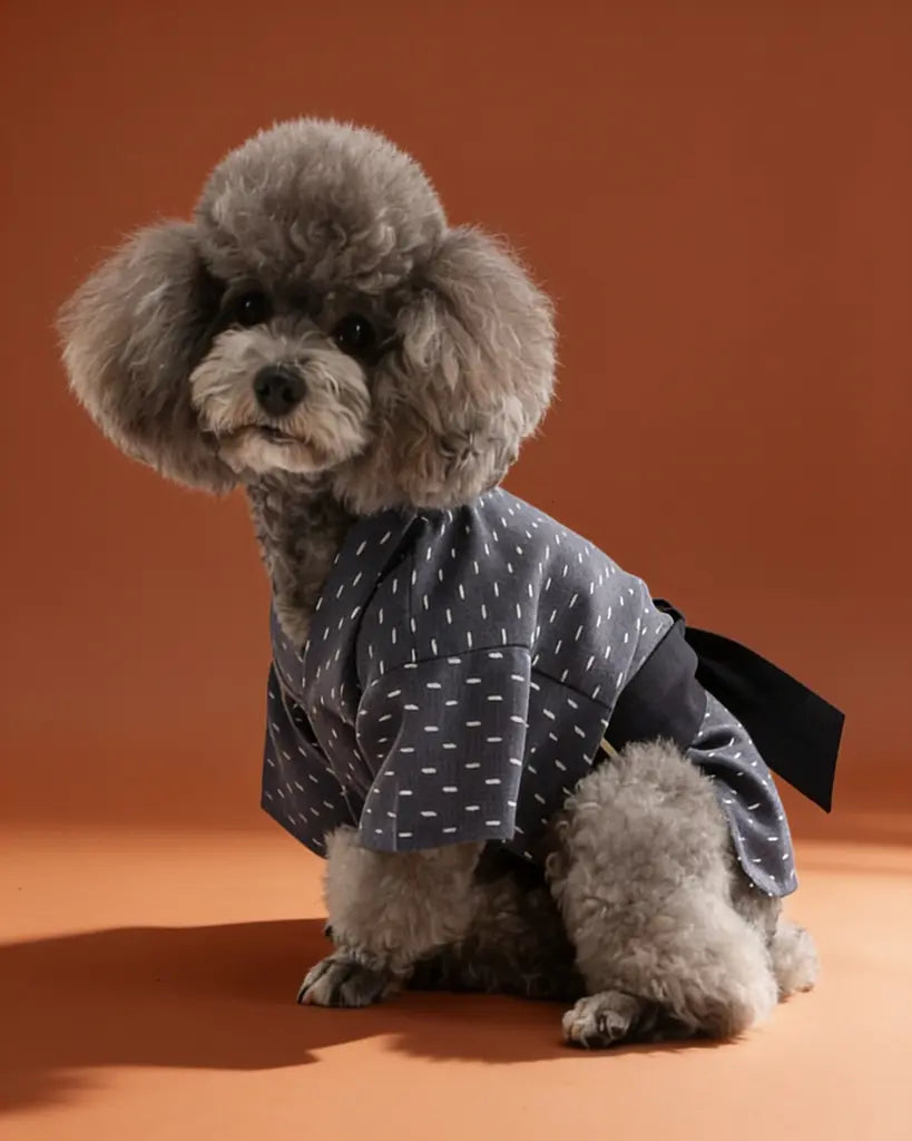 Japanese Yukata Dog &amp; Cat Costume CityBear