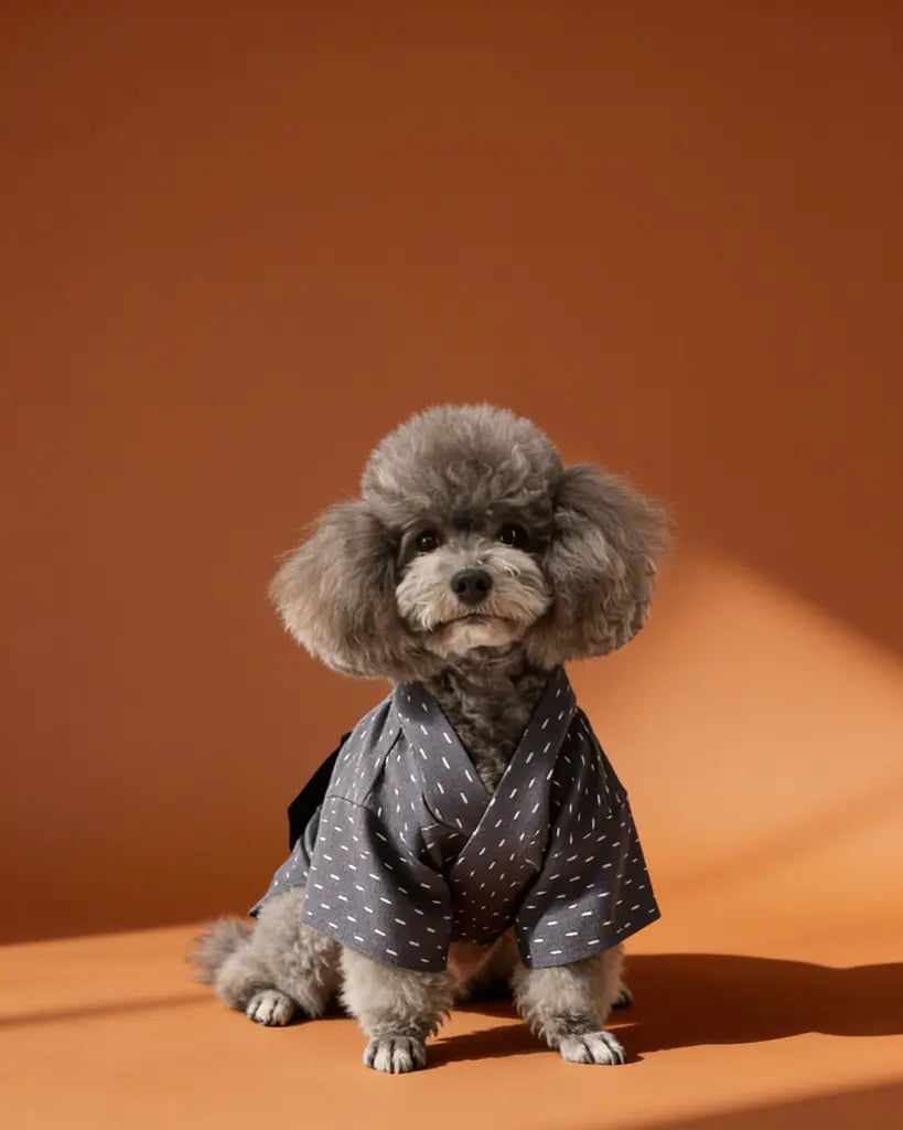 Japanese Yukata Dog &amp; Cat Costume CityBear