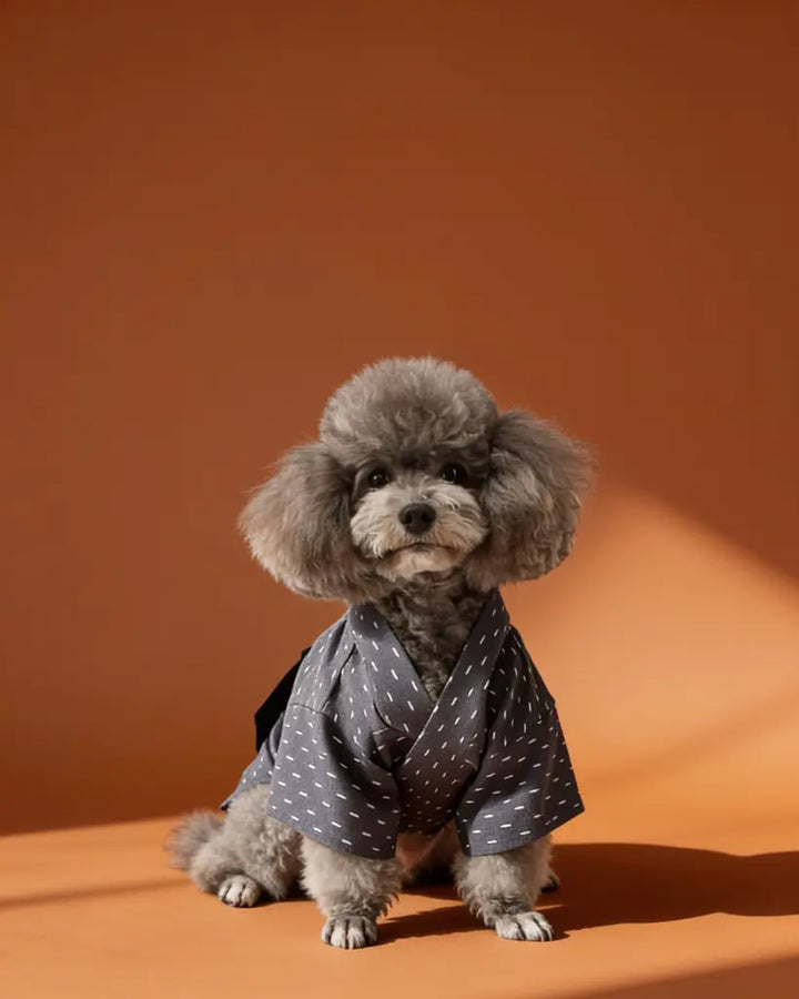 Japanese Yukata Dog &amp; Cat Costume CityBear