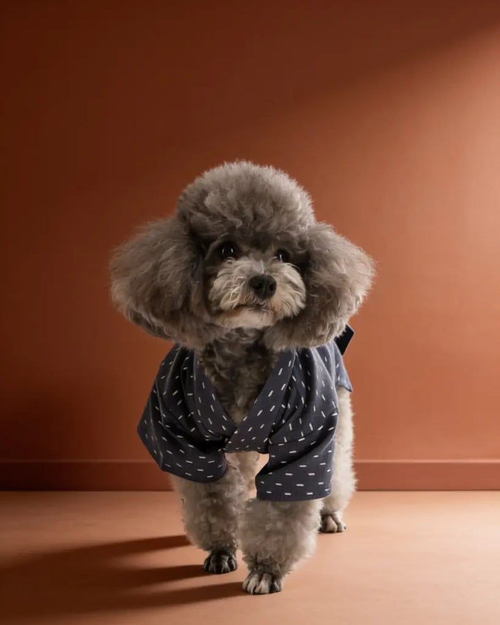Japanese Yukata Dog &amp; Cat Costume CityBear