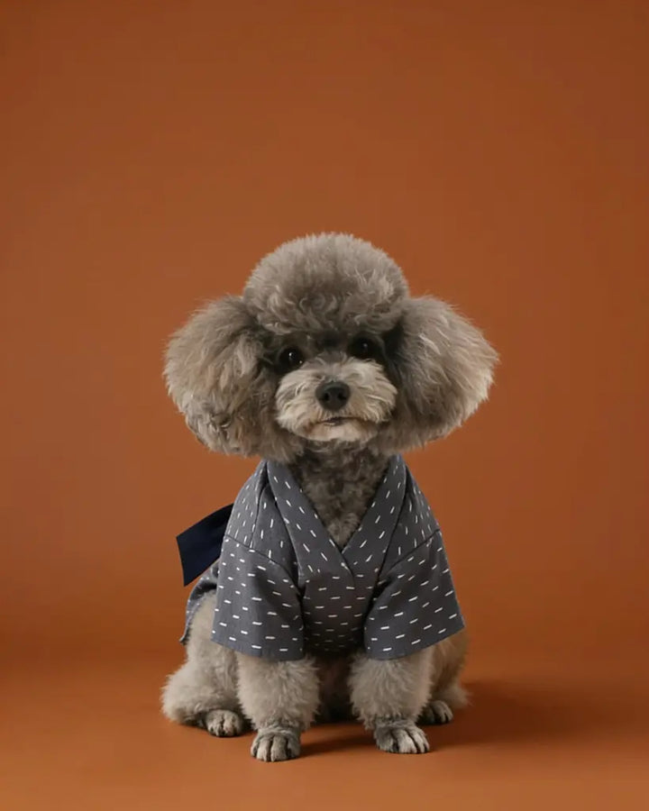 Japanese Yukata Dog &amp; Cat Costume CityBear