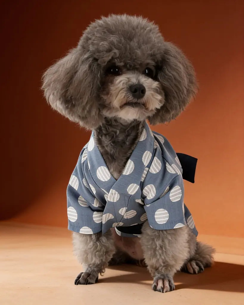 Japanese Yukata Dog &amp; Cat Costume CityBear
