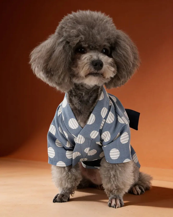 Japanese Yukata Dog &amp; Cat Costume CityBear