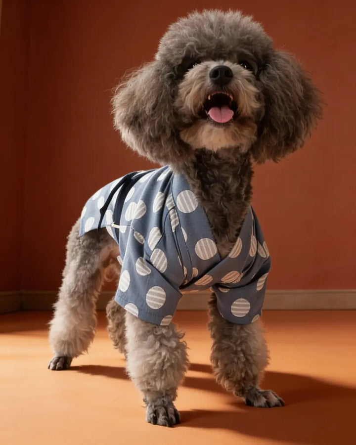 Japanese Yukata Dog &amp; Cat Costume CityBear