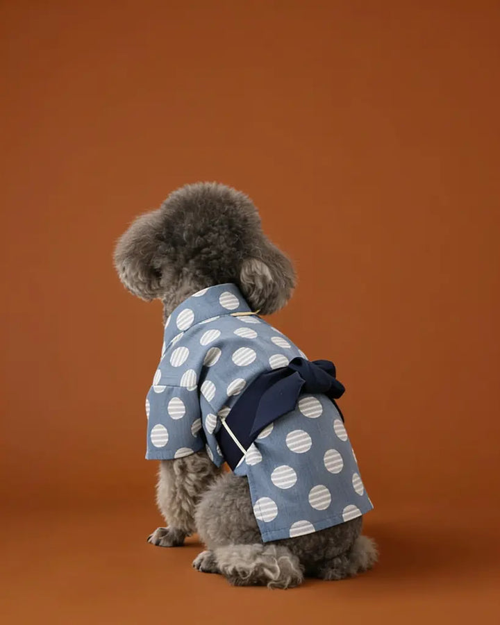 Japanese Yukata Dog &amp; Cat Costume CityBear