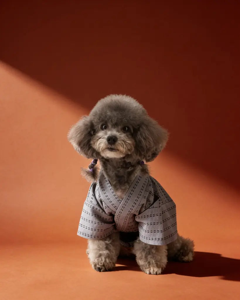 Japanese Yukata Dog &amp; Cat Costume CityBear