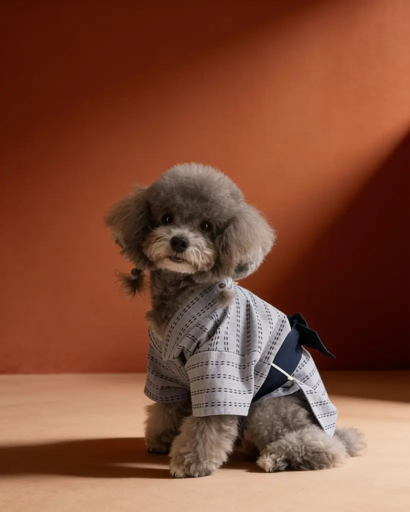 Japanese Yukata Dog &amp; Cat Costume CityBear