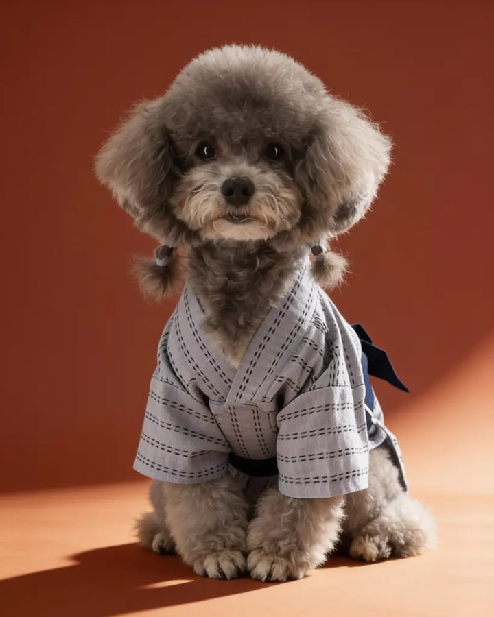 Japanese Yukata Dog &amp; Cat Costume CityBear