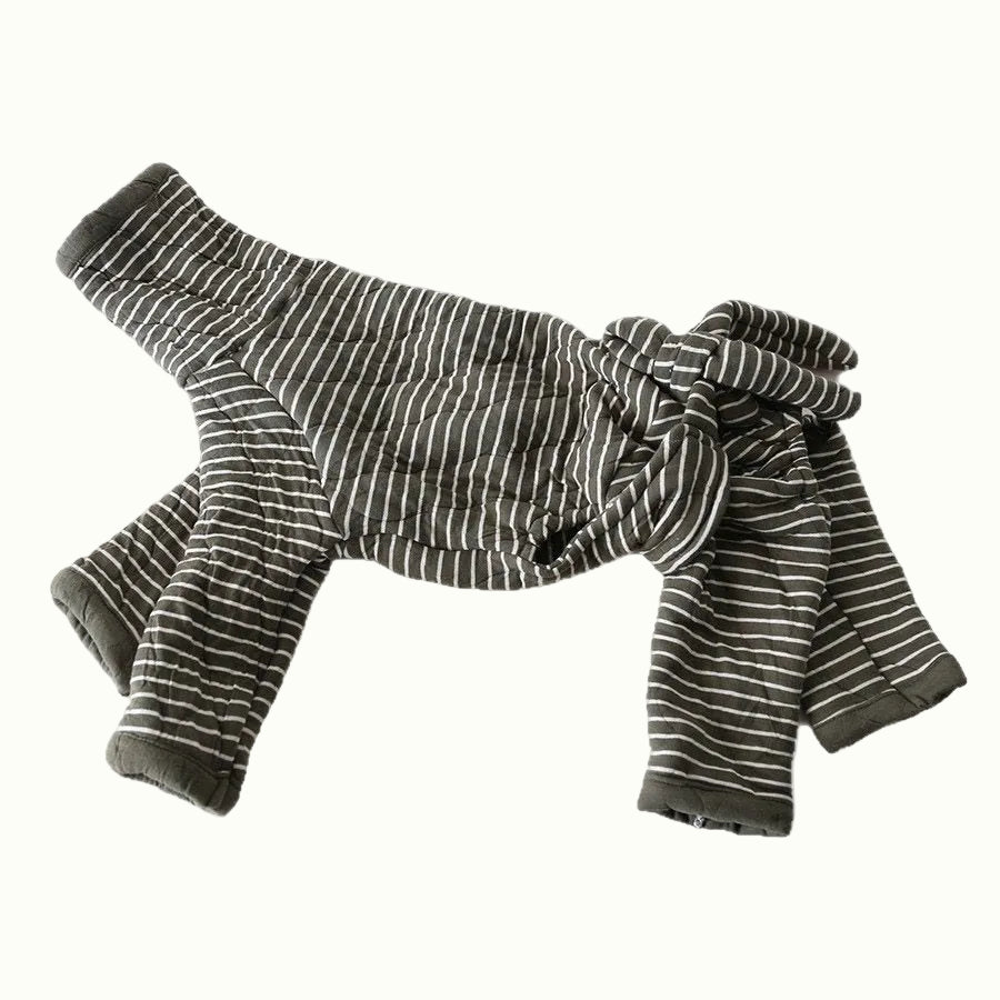 Mono elegante de rayas para perro de cuatro patas con lazo