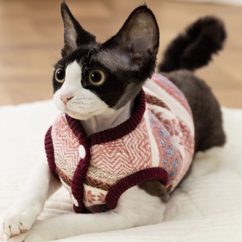 Knitted Snowflakes Cardigan Vest Pet Clothes