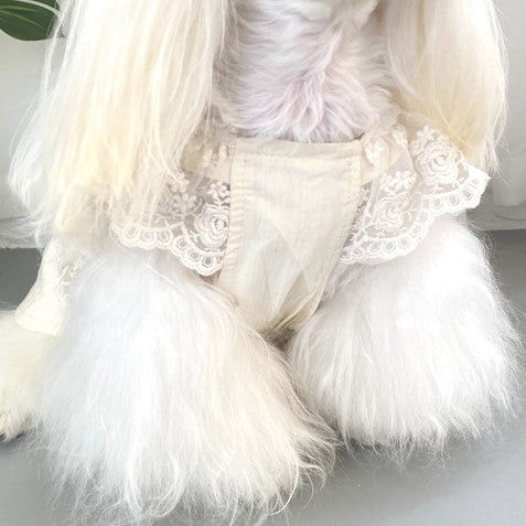 Princess Korean Style Lace Dress for Cat and Small Dog