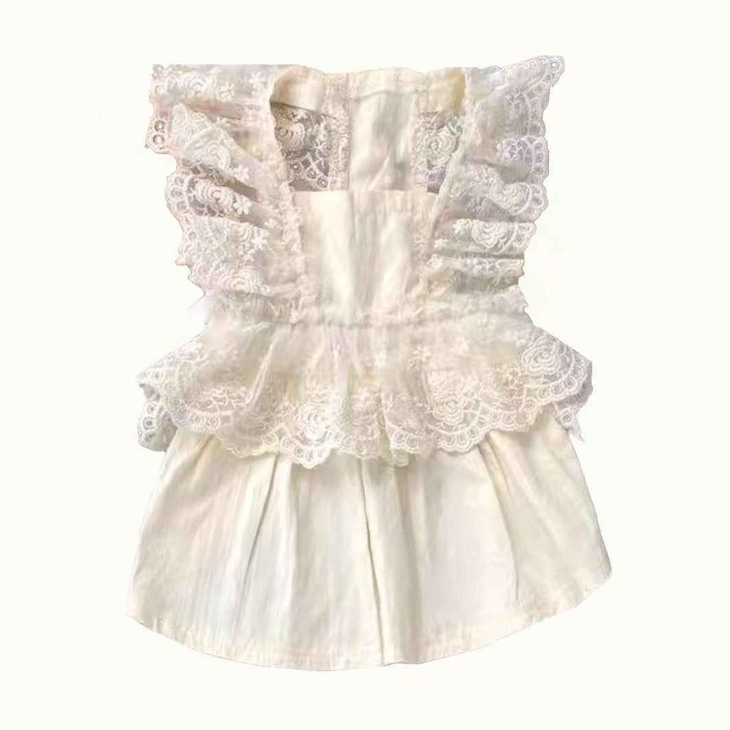 Princess Korean Style Lace Dress for Cat and Small Dog