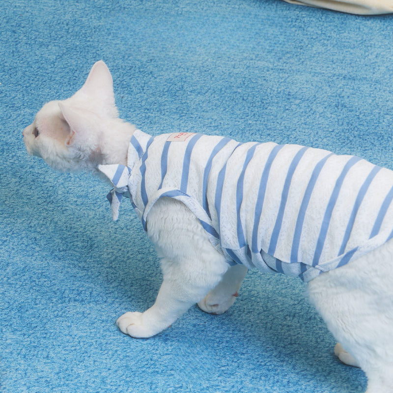 Laced Stripy Matching Pet Tee and Owner Socks
