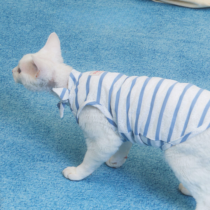 Laced Stripy Matching Pet Tee and Owner Socks