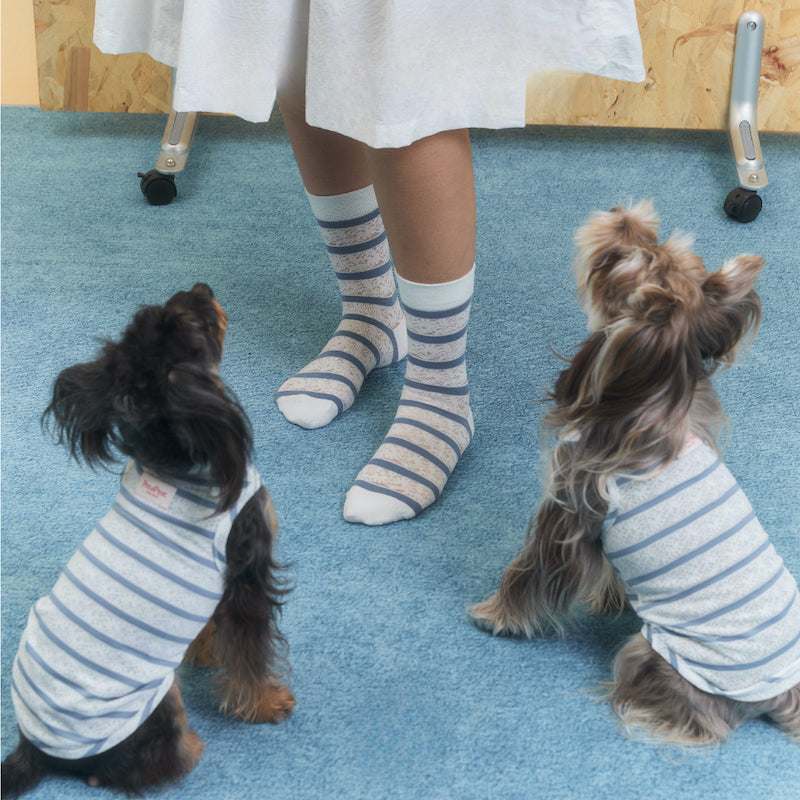 Laced Stripy Matching Pet Tee and Owner Socks