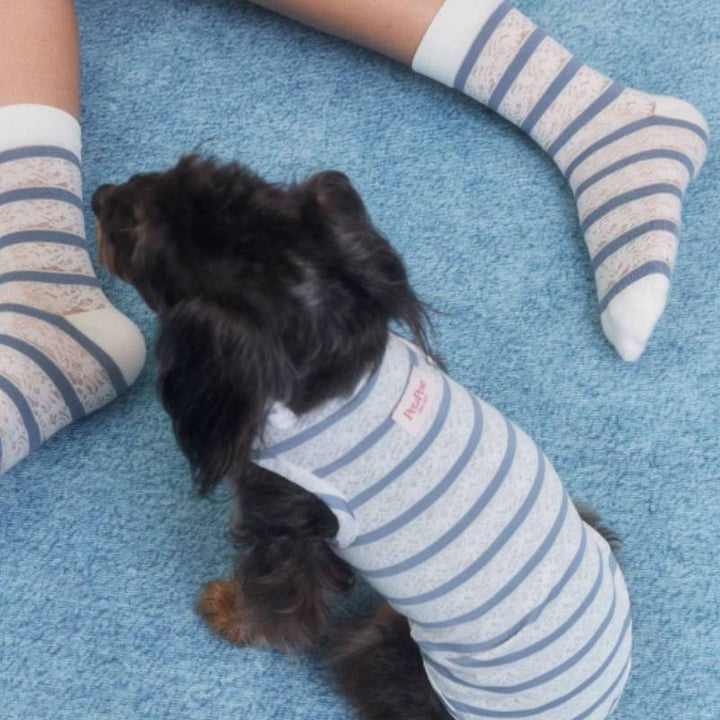 Laced Stripy Matching Pet Tee and Owner Socks