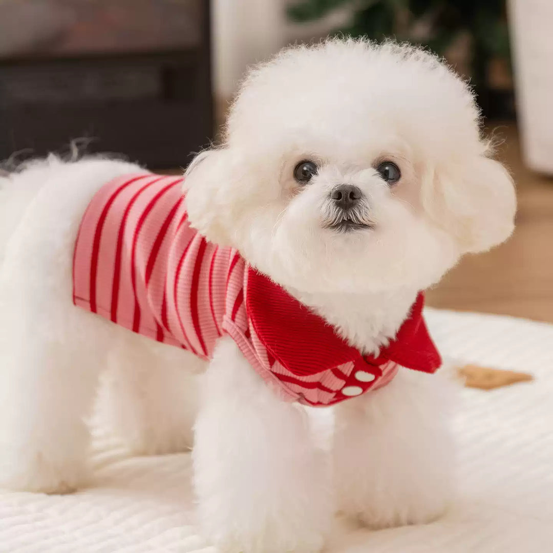 Lapel Collar Striped T Shirt Pet Clothes