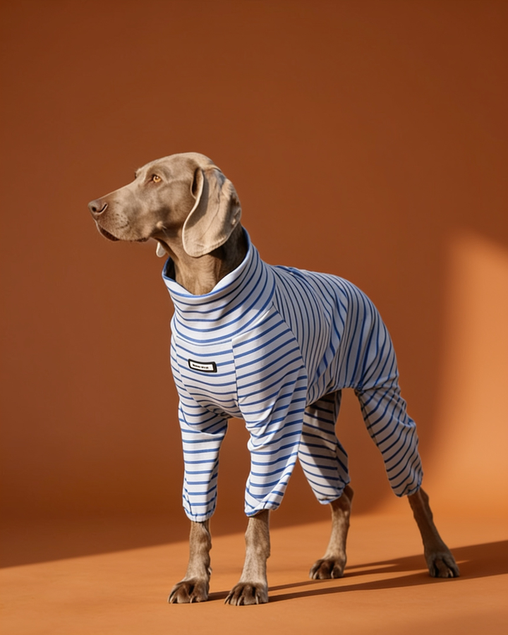 Soft Stretch Cotton Striped Big Dog Onesie Pajamas
