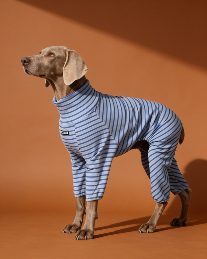 Soft Stretch Cotton Striped Big Dog Onesie Pajamas