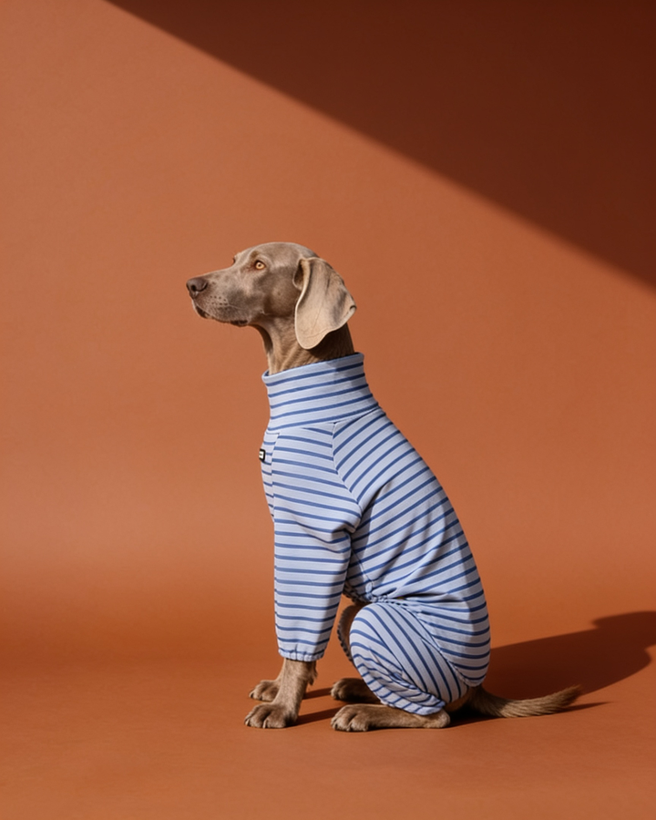 Soft Stretch Cotton Striped Big Dog Onesie Pajamas