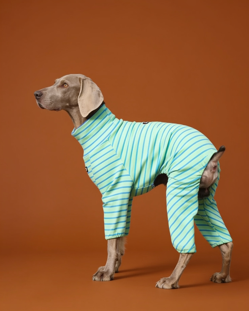 Soft Stretch Cotton Striped Big Dog Onesie Pajamas