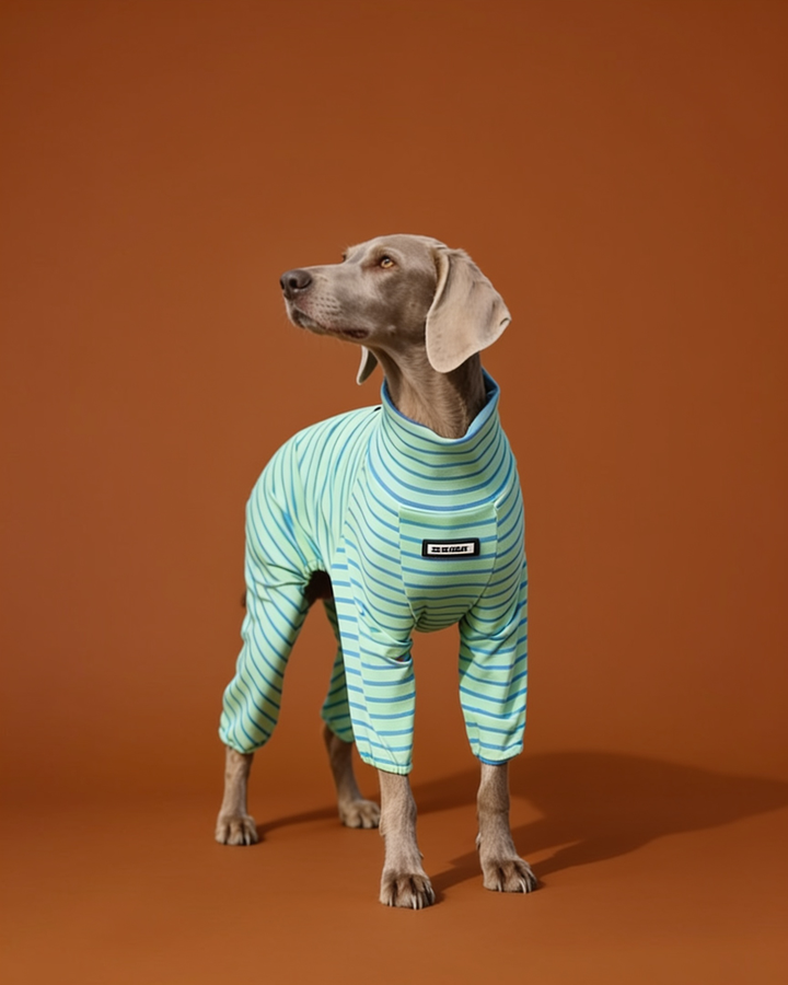 Soft Stretch Cotton Striped Big Dog Onesie Pajamas