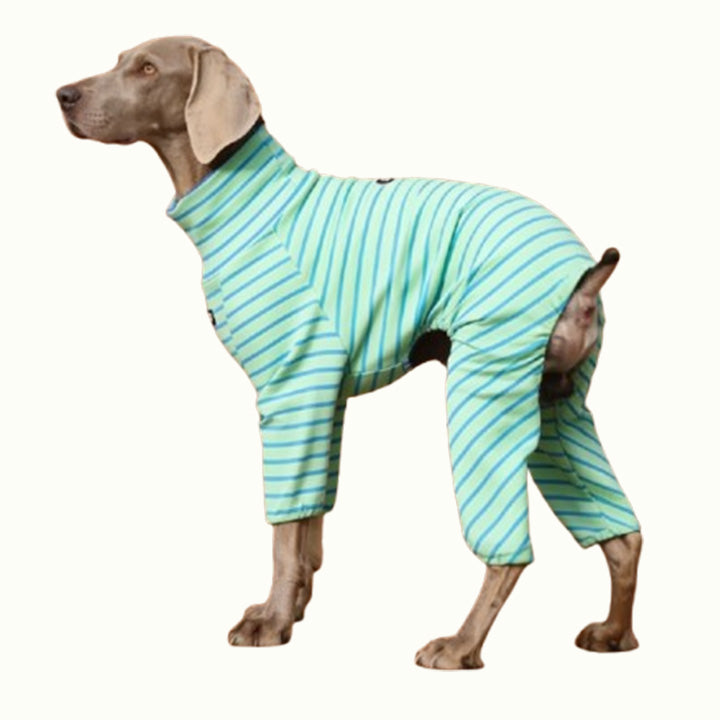 Pet Clothings