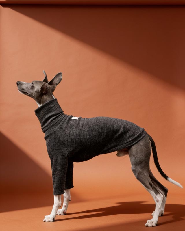 lightweight-highneck-slim-fit-base-dog-sweater-for-italian-greyhound-and-whippet-bedlington-sighthound-dog-clothes - CityBear