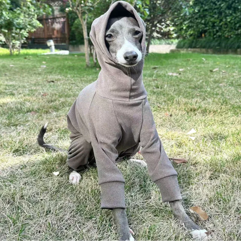 Semi Elastic Soft Warm Full-Body Onesie for Sighthounds