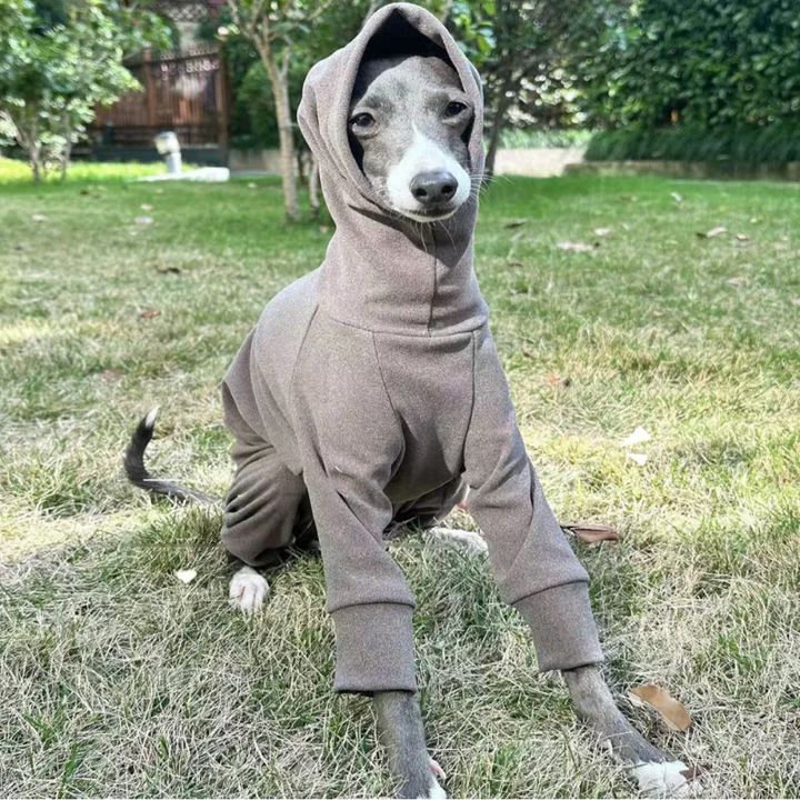 Semi Elastic Soft Warm Full-Body Onesie for Sighthounds