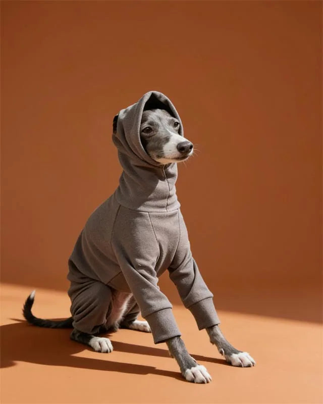lightweight-semi-elastic-soft-warm-four-legged-onesie-for-sighthounds-italian-greyhound-and-whippet-bedlington-clothes - CityBear