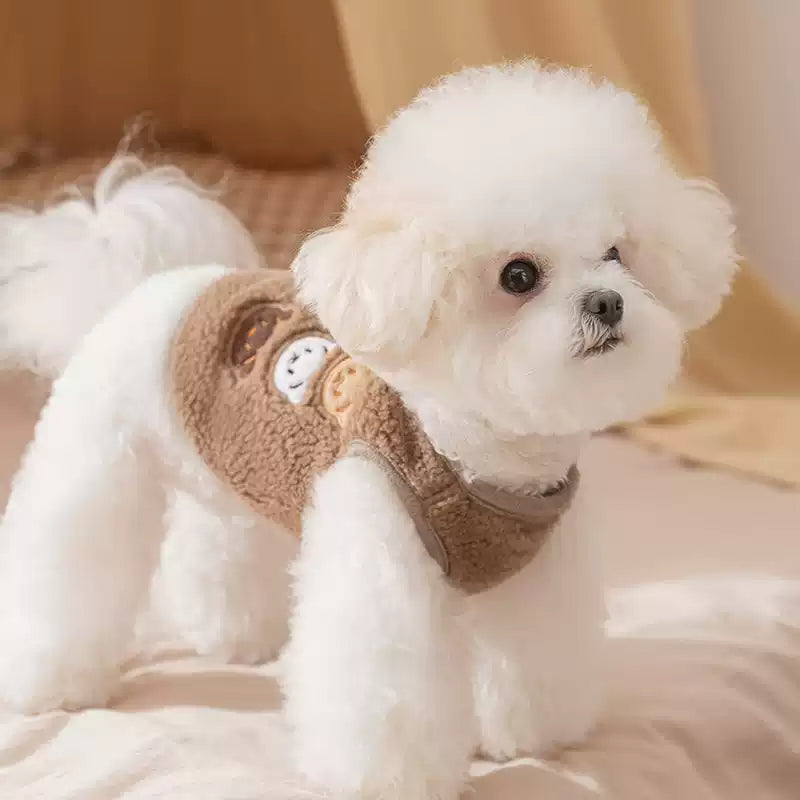 Small white dog wearing a brown jacket with a bear design on a beige background