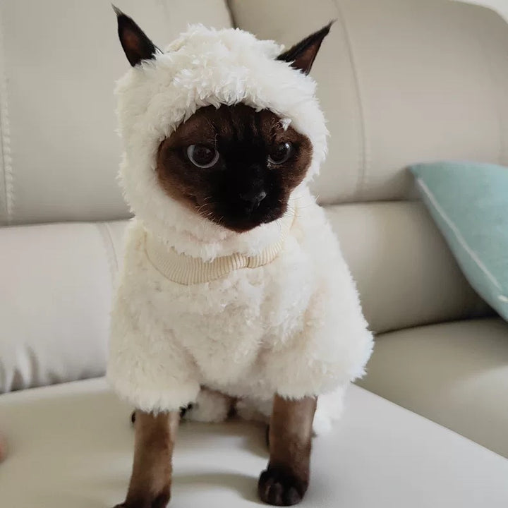 Shaun The Sheep Sphynx Cat Costumes