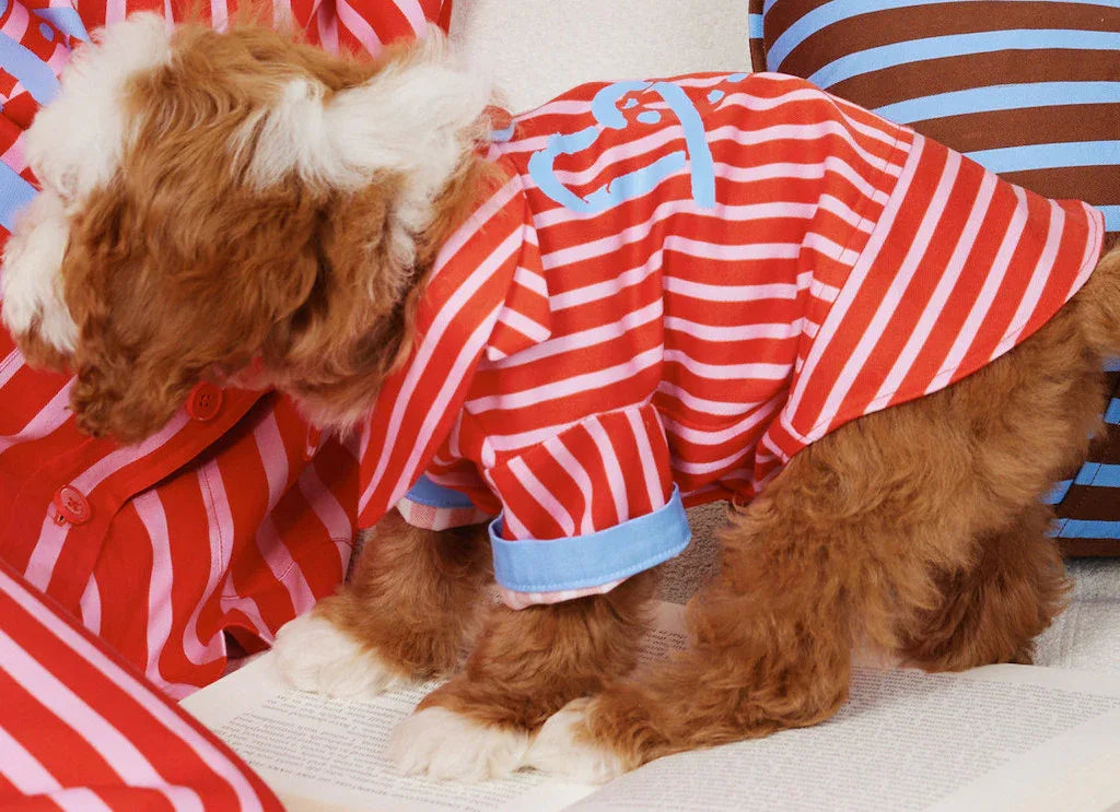 Love Stripe Pet Human Matching Pajamas in Mocca Blue