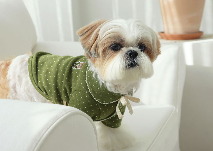 Matcha Bow Dotty Cat and Small Dog Pajama