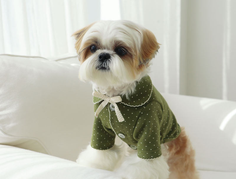 Matcha Bow Dotty Cat and Small Dog Pajama