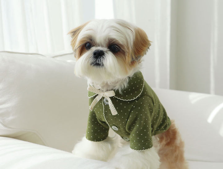 Matcha Bow Dotty Cat and Small Dog Pajama